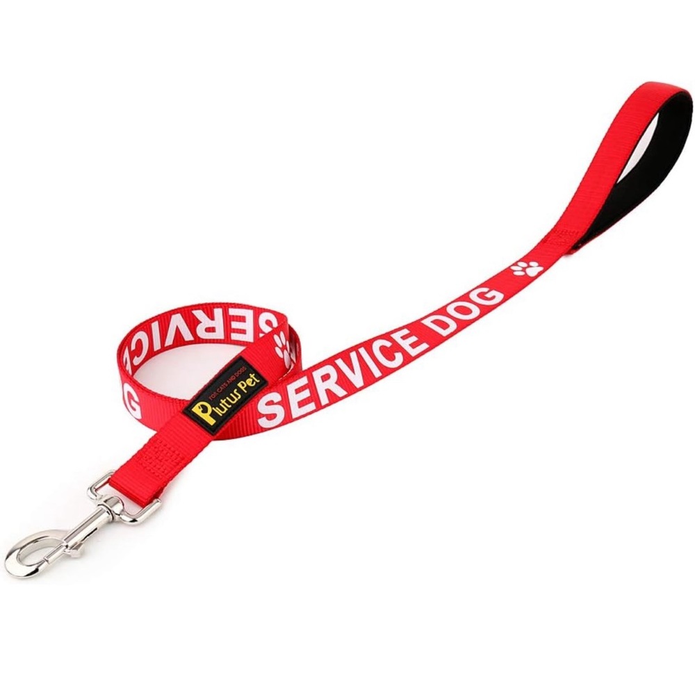 Pet service dog leash